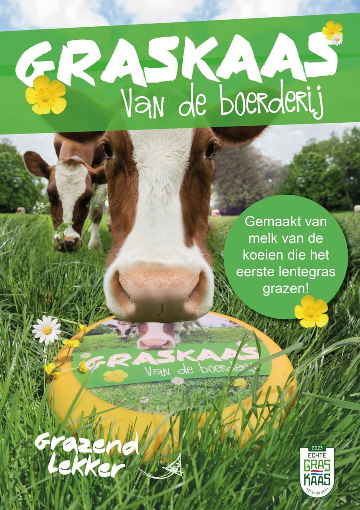 Kaas boordevol vitamines