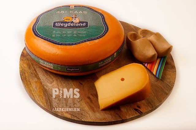 Reference product image